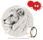 Vege Koli Bandı Şeffaf 45X100mm Aslan (48 ADET)