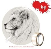 Vege Koli Bandı Şeffaf 45X100mm Aslan (6 ADET)