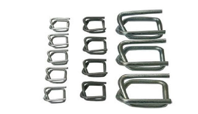 buckle toka